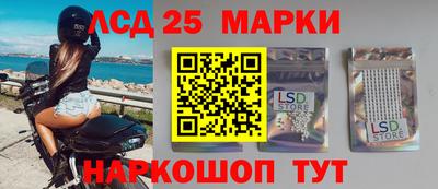 гашик Гай