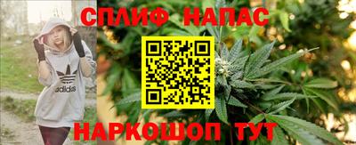 хмурый Гатчина