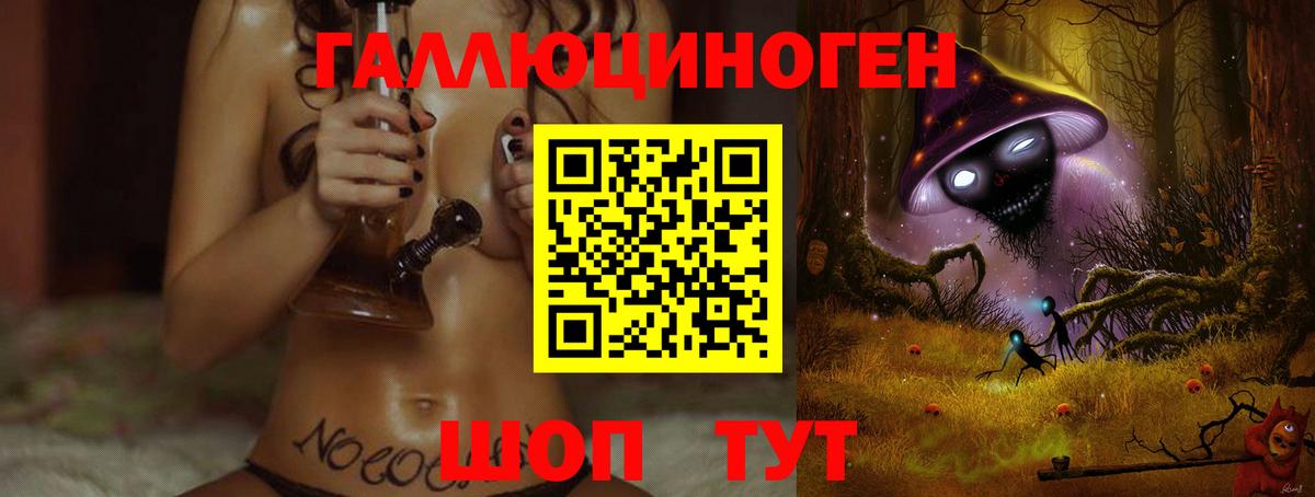 Гулькевичи  Псилоцибиновые грибы GOLDEN TEACHER  Вход с VPN  Псилоцибиновые грибы Psilocybine cubensis 